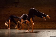 daniela_max_choreografie_aus_bruch_lange_nacht_der_kurzen_stuecke_tollhaus_2015_0022