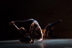 daniela_max_choreografie_aus_bruch_lange_nacht_der_kurzen_stuecke_tollhaus_2015_0026