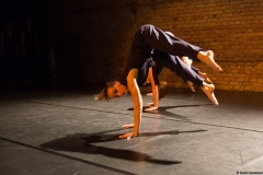 daniela_max_choreografie_aus_bruch_lange_nacht_der_kurzen_stuecke_tollhaus_2015_0036
